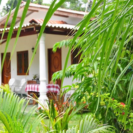 Sigiriya Amenity Home Stay Buitenkant foto