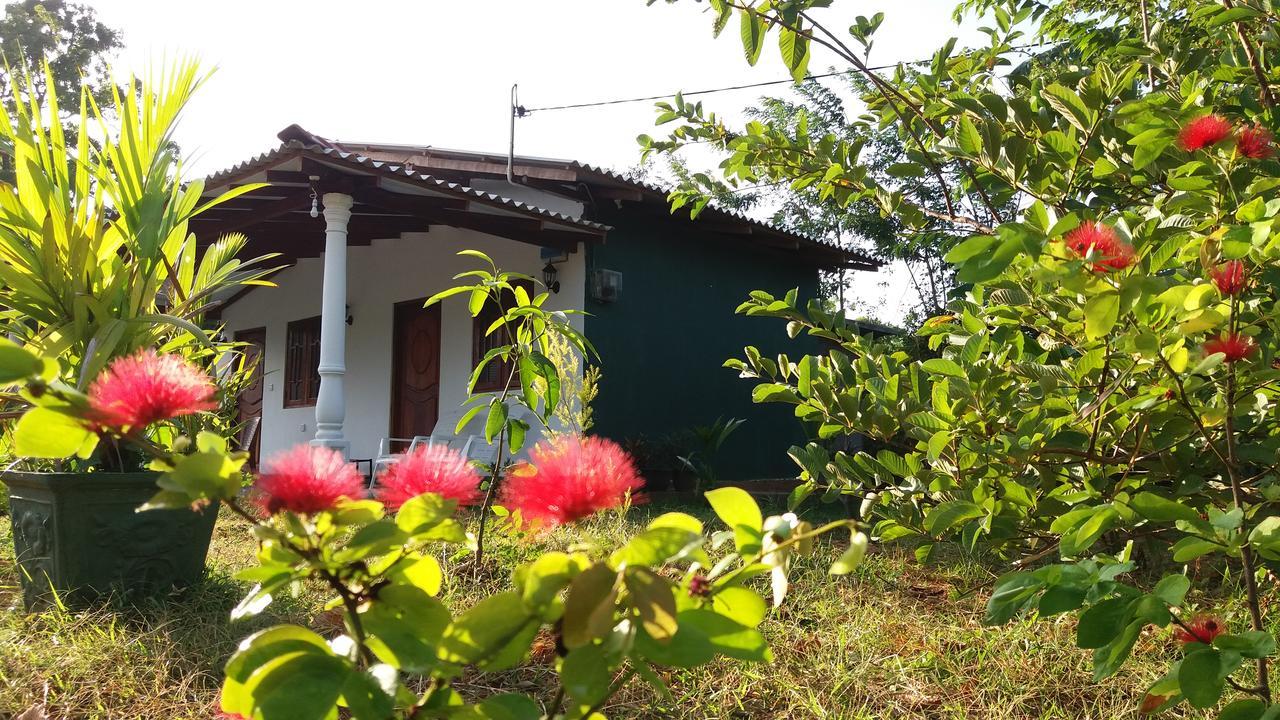 Sigiriya Amenity Home Stay Buitenkant foto