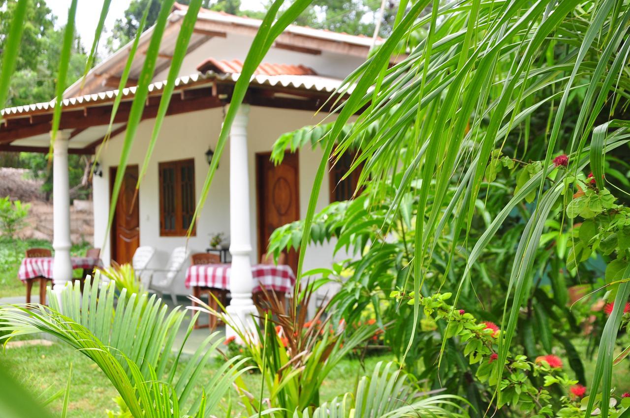 Sigiriya Amenity Home Stay Buitenkant foto