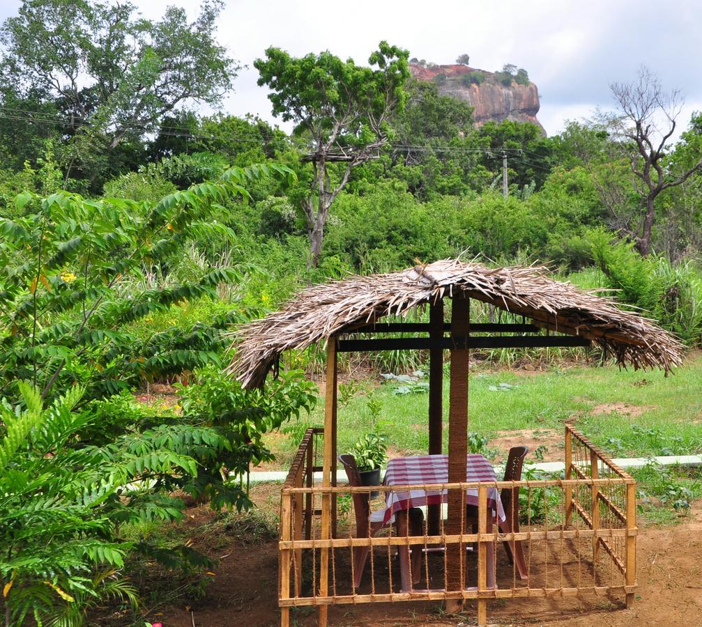 Sigiriya Amenity Home Stay Buitenkant foto