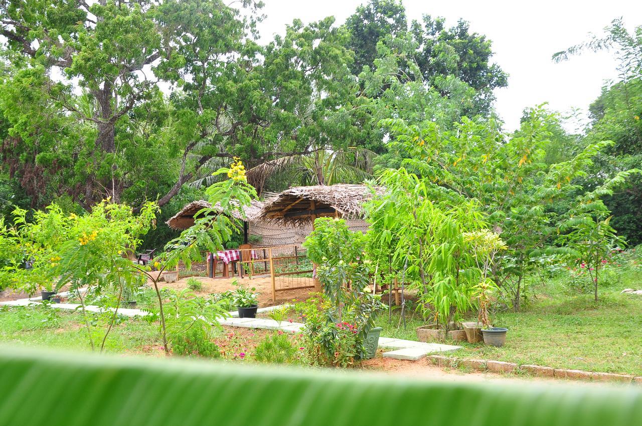 Sigiriya Amenity Home Stay Buitenkant foto