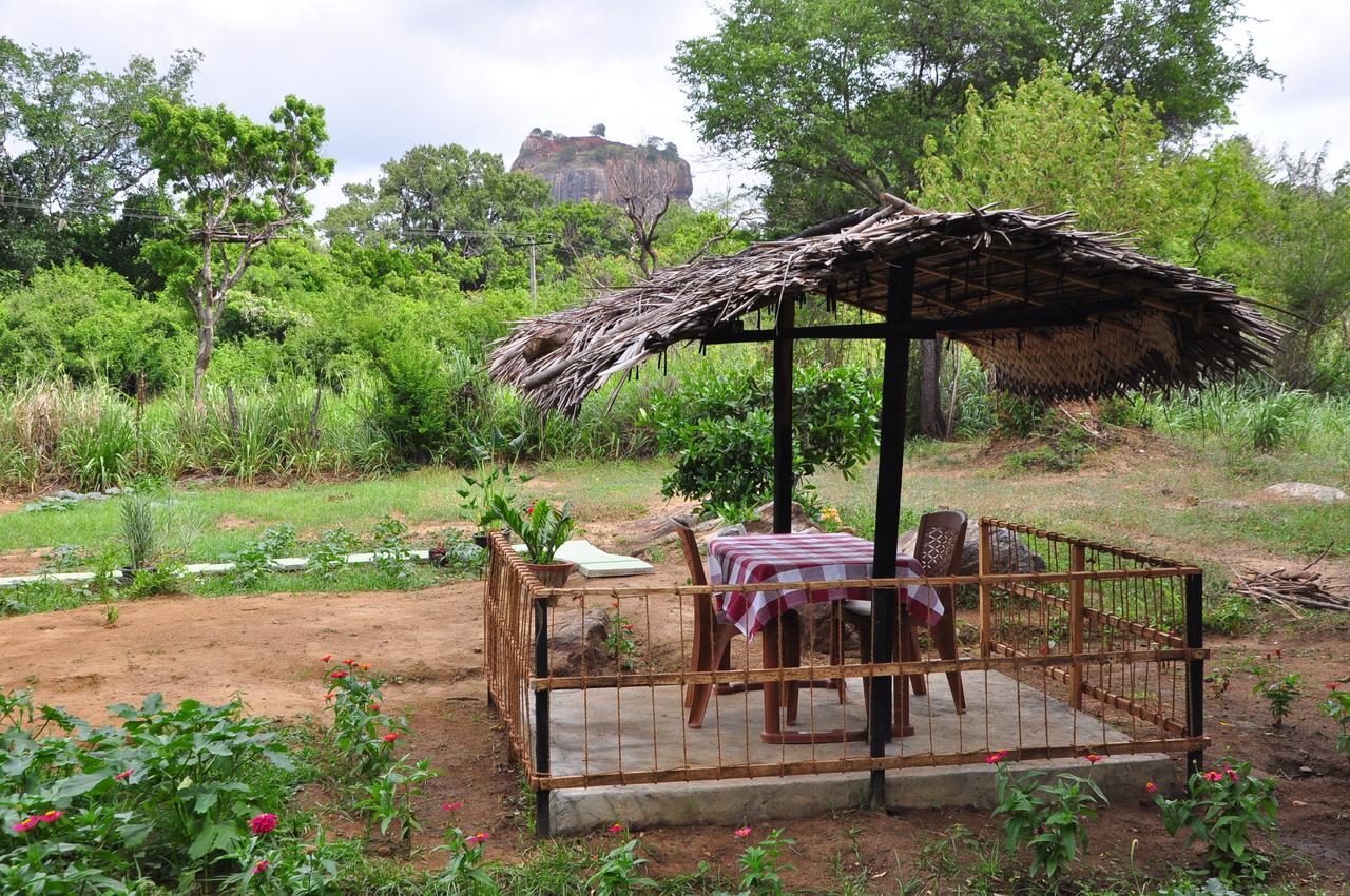Sigiriya Amenity Home Stay Buitenkant foto