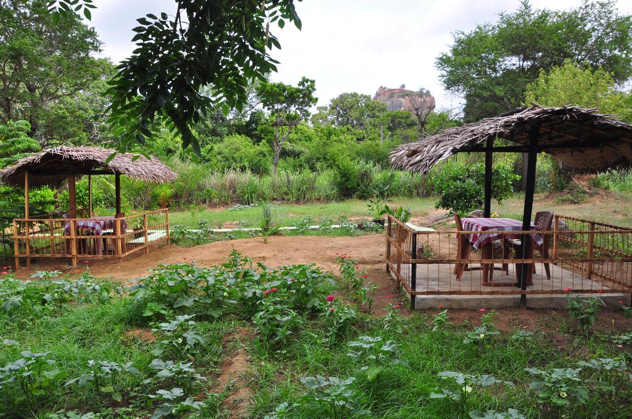 Sigiriya Amenity Home Stay Buitenkant foto