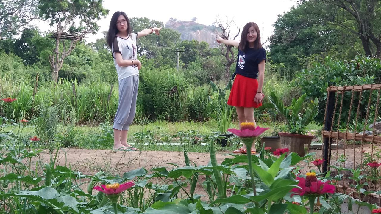 Sigiriya Amenity Home Stay Buitenkant foto