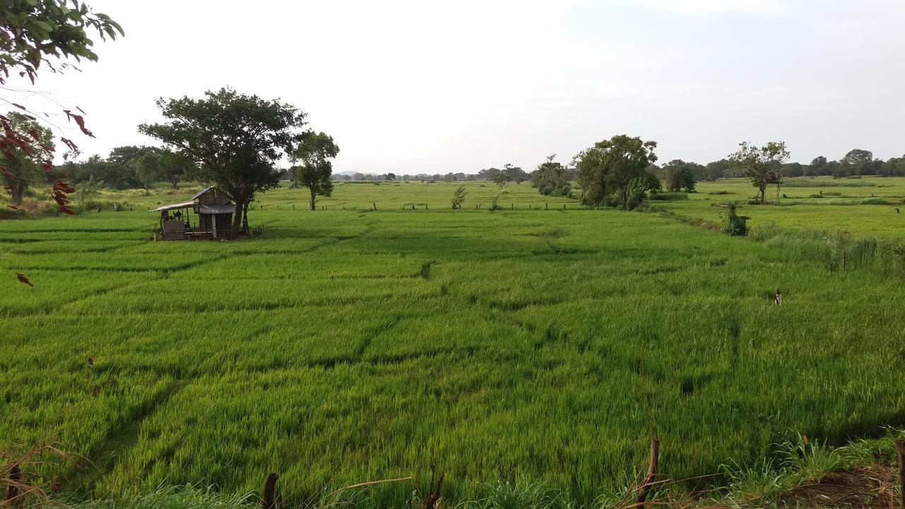 Sigiriya Amenity Home Stay Buitenkant foto